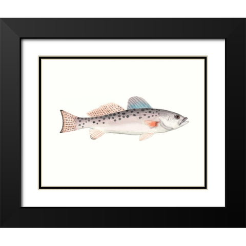 Watercolor Deep Sea Fish IV Black Modern Wood Framed Art Print with Double Matting by McCavitt, Naomi