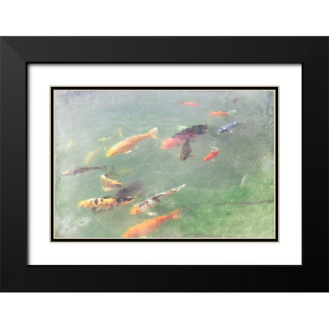 Koi Reflections I Black Modern Wood Framed Art Print with Double Matting by Ludwig, Alicia