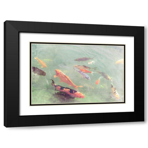 Koi Reflections II Black Modern Wood Framed Art Print with Double Matting by Ludwig, Alicia