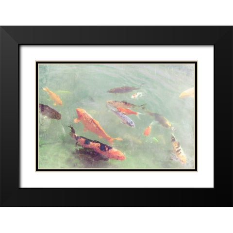 Koi Reflections II Black Modern Wood Framed Art Print with Double Matting by Ludwig, Alicia