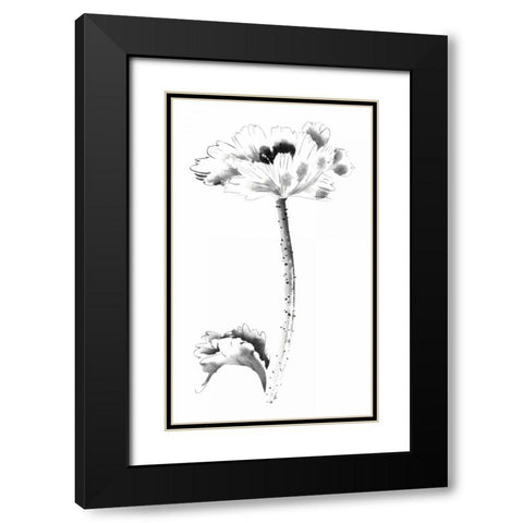 Ink Poppy Black Modern Wood Framed Art Print with Double Matting by Rae, Nan