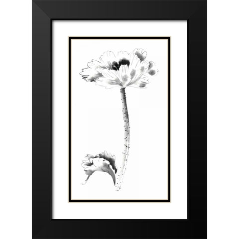 Ink Poppy Black Modern Wood Framed Art Print with Double Matting by Rae, Nan