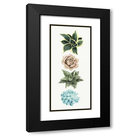 Row of Succulents I Black Modern Wood Framed Art Print with Double Matting by Popp, Grace