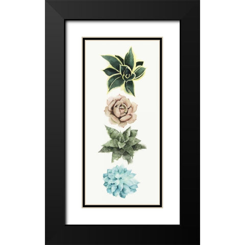 Row of Succulents I Black Modern Wood Framed Art Print with Double Matting by Popp, Grace
