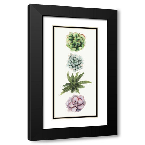 Row of Succulents II Black Modern Wood Framed Art Print with Double Matting by Popp, Grace