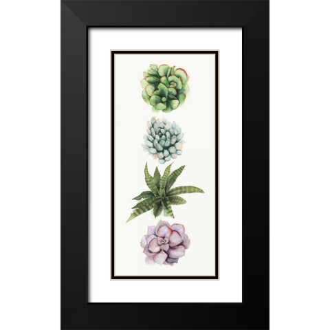 Row of Succulents II Black Modern Wood Framed Art Print with Double Matting by Popp, Grace