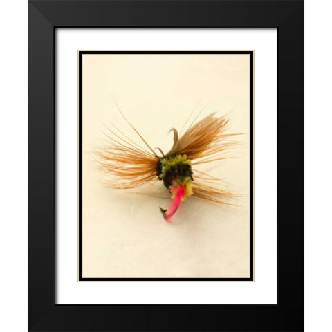 Macro Lure IV Black Modern Wood Framed Art Print with Double Matting by Stalus, Judy