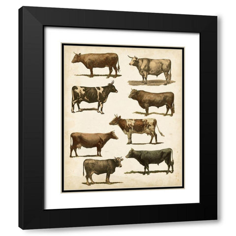 Antique Cow Chart Black Modern Wood Framed Art Print with Double Matting by Vision Studio