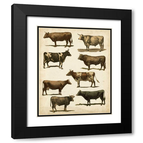 Antique Cow Chart Black Modern Wood Framed Art Print with Double Matting by Vision Studio