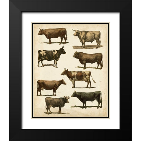 Antique Cow Chart Black Modern Wood Framed Art Print with Double Matting by Vision Studio