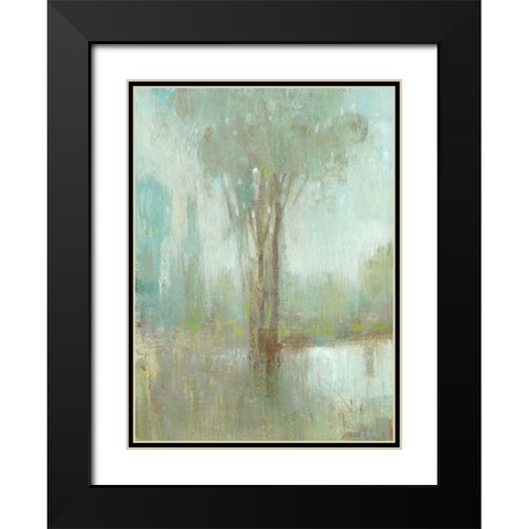 Mist in the Glen I Black Modern Wood Framed Art Print with Double Matting by OToole, Tim