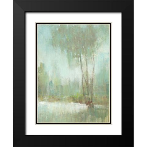 Mist in the Glen II Black Modern Wood Framed Art Print with Double Matting by OToole, Tim