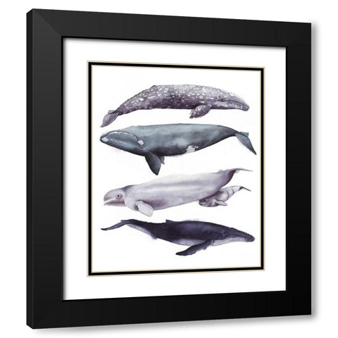 Whale Stack I Black Modern Wood Framed Art Print with Double Matting by Popp, Grace