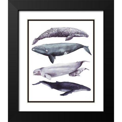 Whale Stack I Black Modern Wood Framed Art Print with Double Matting by Popp, Grace