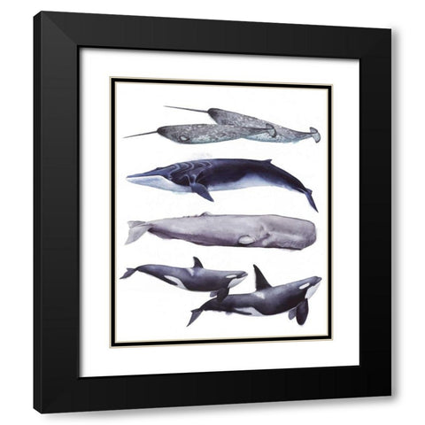 Whale Stack II Black Modern Wood Framed Art Print with Double Matting by Popp, Grace