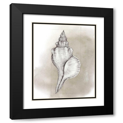 Shell Diagram I Black Modern Wood Framed Art Print with Double Matting by Popp, Grace