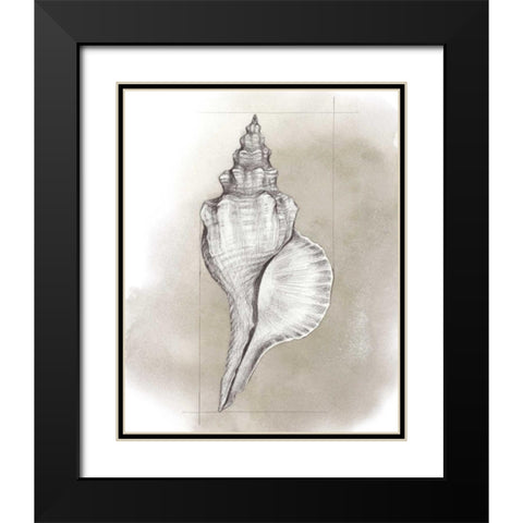 Shell Diagram I Black Modern Wood Framed Art Print with Double Matting by Popp, Grace