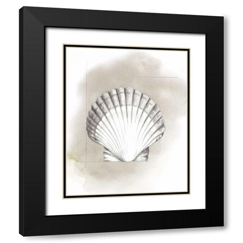Shell Diagram II Black Modern Wood Framed Art Print with Double Matting by Popp, Grace
