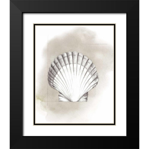 Shell Diagram II Black Modern Wood Framed Art Print with Double Matting by Popp, Grace