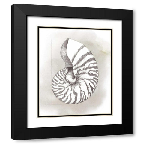 Shell Diagram III Black Modern Wood Framed Art Print with Double Matting by Popp, Grace