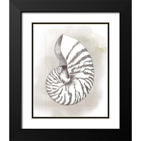 Shell Diagram III Black Modern Wood Framed Art Print with Double Matting by Popp, Grace