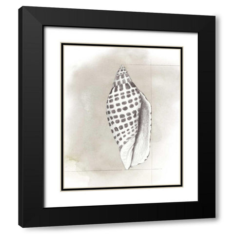 Shell Diagram IV Black Modern Wood Framed Art Print with Double Matting by Popp, Grace