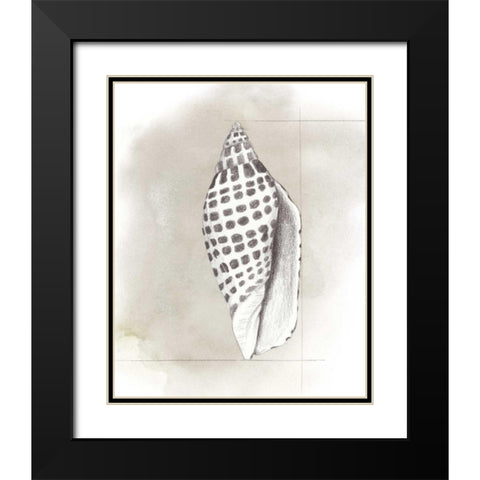 Shell Diagram IV Black Modern Wood Framed Art Print with Double Matting by Popp, Grace