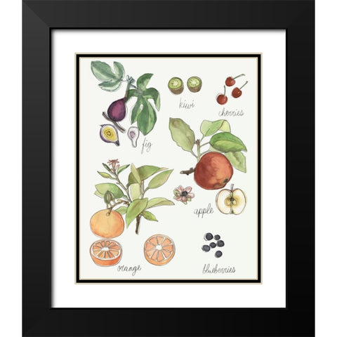 Fruit Medley I Black Modern Wood Framed Art Print with Double Matting by McCavitt, Naomi
