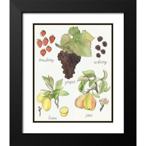 Fruit Medley II Black Modern Wood Framed Art Print with Double Matting by McCavitt, Naomi