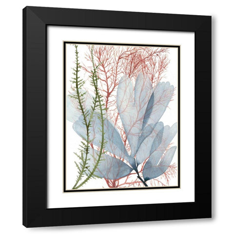 Seaweed Flow I Black Modern Wood Framed Art Print with Double Matting by Popp, Grace