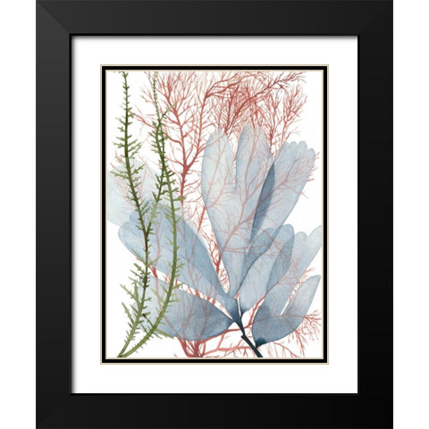 Seaweed Flow I Black Modern Wood Framed Art Print with Double Matting by Popp, Grace