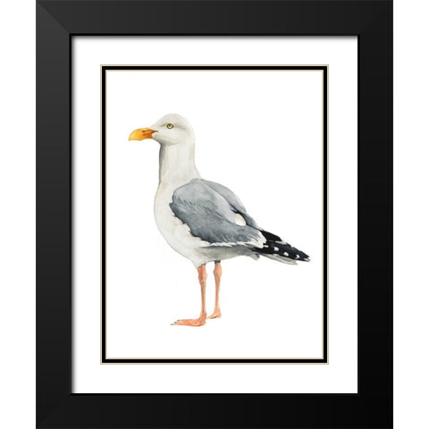 Sea Bird II Black Modern Wood Framed Art Print with Double Matting by Popp, Grace