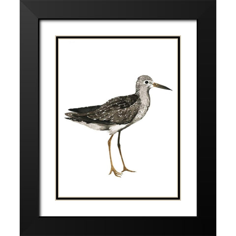 Sea Bird III Black Modern Wood Framed Art Print with Double Matting by Popp, Grace