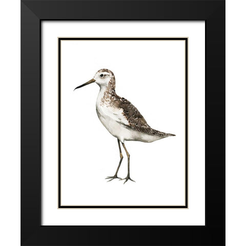 Sea Bird VI Black Modern Wood Framed Art Print with Double Matting by Popp, Grace