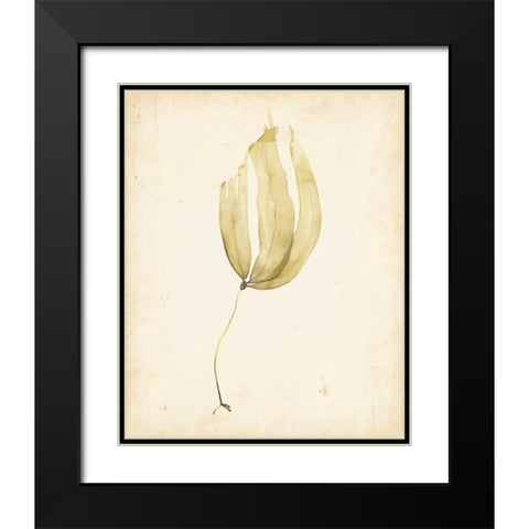 Watercolor Sea Grass III Black Modern Wood Framed Art Print with Double Matting by Popp, Grace