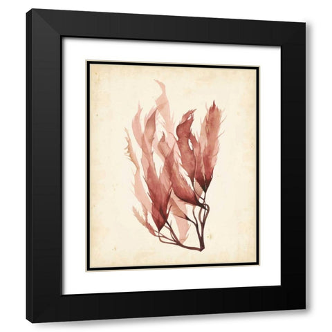 Watercolor Sea Grass IV Black Modern Wood Framed Art Print with Double Matting by Popp, Grace
