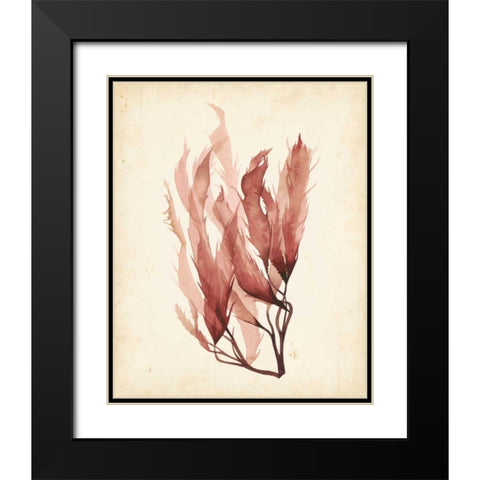 Watercolor Sea Grass IV Black Modern Wood Framed Art Print with Double Matting by Popp, Grace