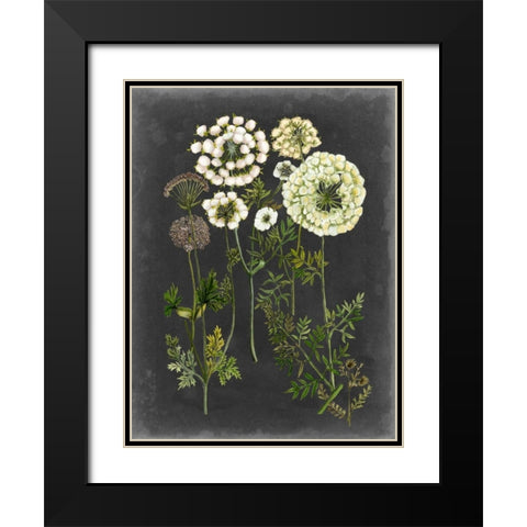 Bookplate Floral II Black Modern Wood Framed Art Print with Double Matting by McCavitt, Naomi