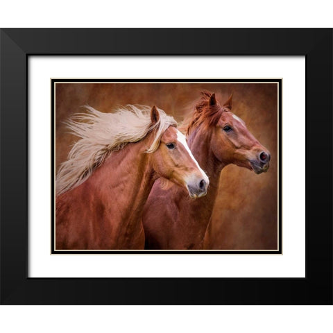 Purebred I Black Modern Wood Framed Art Print with Double Matting by Sturgeon, Ozana
