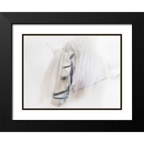Purebred III Black Modern Wood Framed Art Print with Double Matting by Sturgeon, Ozana