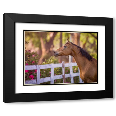 Flower Frolick I Black Modern Wood Framed Art Print with Double Matting by Sturgeon, Ozana