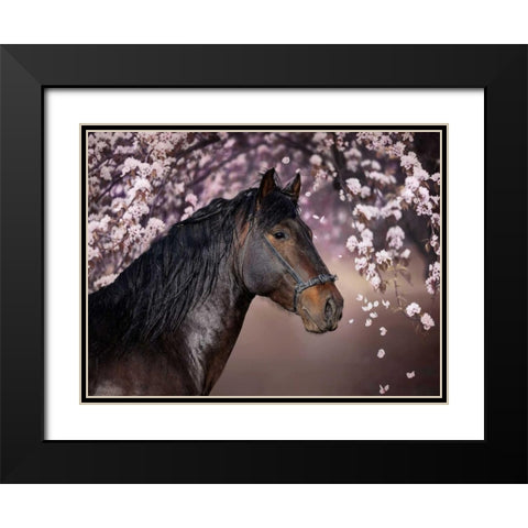 Flower Frolick II Black Modern Wood Framed Art Print with Double Matting by Sturgeon, Ozana