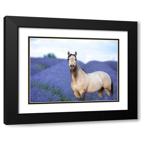 Flower Frolick III Black Modern Wood Framed Art Print with Double Matting by Sturgeon, Ozana