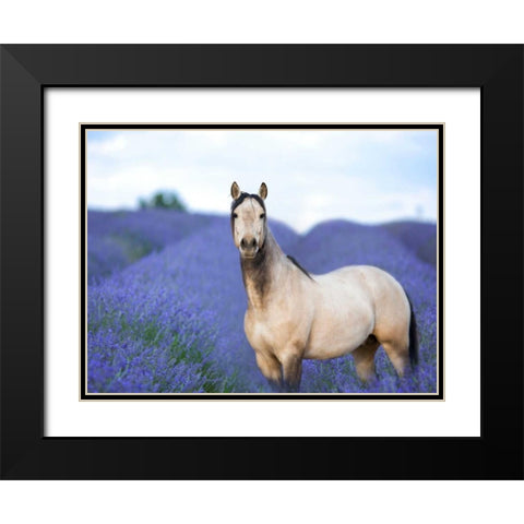 Flower Frolick III Black Modern Wood Framed Art Print with Double Matting by Sturgeon, Ozana