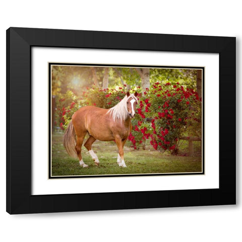 Flower Frolick IV Black Modern Wood Framed Art Print with Double Matting by Sturgeon, Ozana