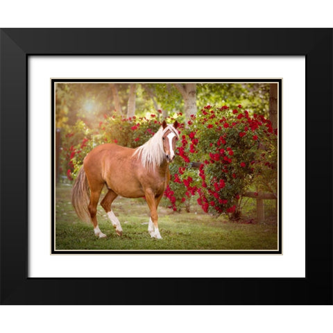 Flower Frolick IV Black Modern Wood Framed Art Print with Double Matting by Sturgeon, Ozana