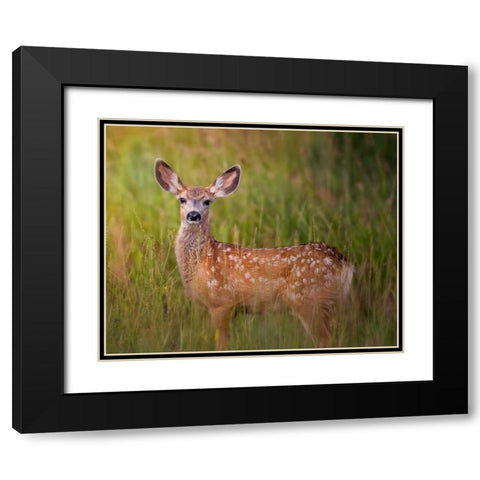Deer Watch IV Black Modern Wood Framed Art Print with Double Matting by Sturgeon, Ozana