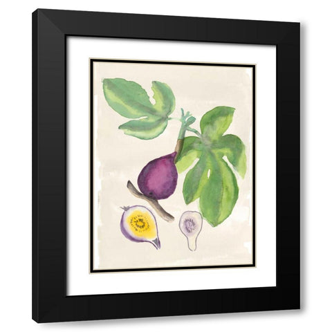 Watercolor Fruit I Black Modern Wood Framed Art Print with Double Matting by McCavitt, Naomi