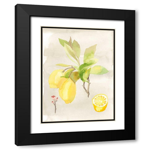 Watercolor Fruit II Black Modern Wood Framed Art Print with Double Matting by McCavitt, Naomi