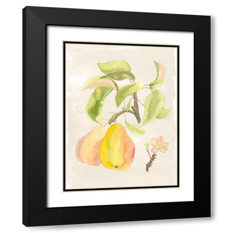 Watercolor Fruit III Black Modern Wood Framed Art Print with Double Matting by McCavitt, Naomi